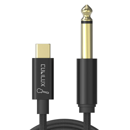 USB C to 6.35mm Guitar Cable